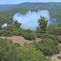 Çine