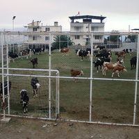 ÇEVRE