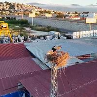 Kuşadası