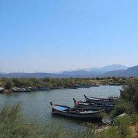 Aydın