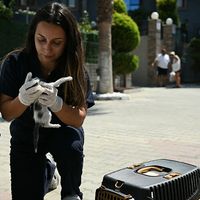 Kuşadası