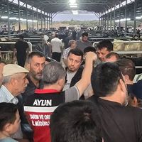 Aydın