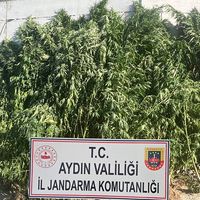 POLİS
