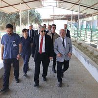 Aydın