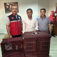 Aydın