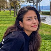 Aydın