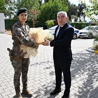 Aydın