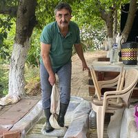 Aydın