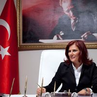 Aydın