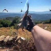 ÇEVRE