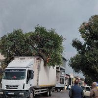 ÇEVRE