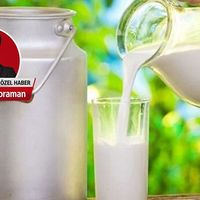 EKONOMİ
