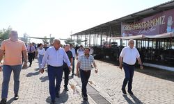 Başkan Atay’dan hayvan pazarında bayram denetimi