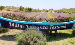 Didim Lavanta Festivali için gün sayıyor