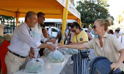 Didim Belediyesi'nin yetiştirdiği ürünler vatandaşa dağıtıldı