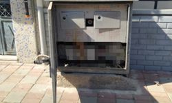 Trafoya giren kedi tüm mahalleyi elektriksiz bıraktı