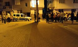 Aydın'da 'gürültü' kavgası: 1 ağır yaralı