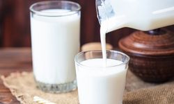 Ulusal Süt Konseyi’nden çiğ süt fiyatı açıklaması
