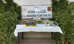 Aydın’da 2 bin 520 gram uyuşturucu ele geçirildi