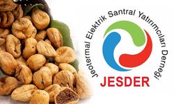 JESDER: Kuru incir  ihracatındaki başarı bizi mutlu etti