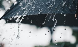 Hafta sonu Aydın'da kuvvetli yağış etkili olacak