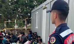 Didim’de ormanlık alanda 34 düzensiz göçmeni yakaladı