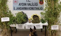 Söke'de  4 bin gram uyuşturucu ele geçirildi