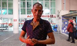 Aydın'da sahipsiz köpeklerin saldırısına uğrayan kişi yaralandı