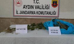 Aydın’da narkotik uygulamasında 38 zanlı yakalandı