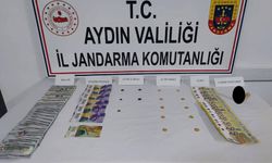 Aydın'da tarihi eser operasyonunda 2 kişi yakalandı