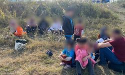 Aydın'da pamuk tarlasında 27 göçmen yakalandı