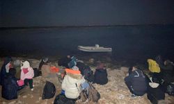 Didim'de 37 düzensiz göçmen yakalandı