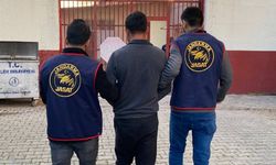 Aydın’da 262 kişi yakalandı