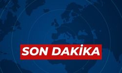 Aydın'daki kazada 1 kişi hayatını kaybetti