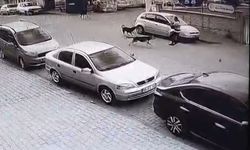 Aydın’da bir kişi sokak köpeklerinin saldırısına uğradı