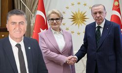 Başkan Ertürk,  Meral Akşener’in   Erdoğan’la görüşmesini değerlendirdi