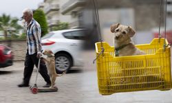 Sahiplendiği köpeği skuterle gezdirip salıncağa bindiriyor