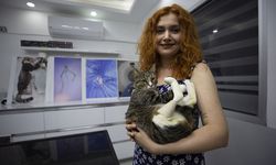 Aydın'da kediye, 3D yazıcıyla üretilen protez takıldı