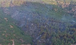 Kuyucak’taki yangında 26 hektarlık alan zarar gördü