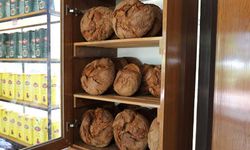 ATA Tohumu karakılçık buğday ekmekleri Efe Bakkal raflarında