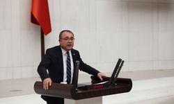 Karakoz, TÜİK'i radarına aldı