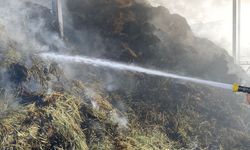 Karacasu’da ahırda çıkan yangında 5 büyükbaş hayvan telef oldu
