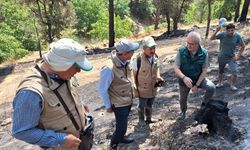 TARSİM'den Aydın'daki yangından etkilenen tarım alanlarını ziyaret