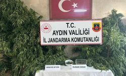 Aydın'da uyuşturucu operasyonu