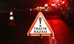 Aydın'da trafik kazası