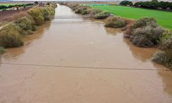 Büyük Menderes Nehri'nde su seviyesi yükseldi