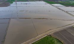 Büyük Menderes Nehri'nde taşkınlar yaşandı