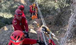 Kanyonda mahsur kalan kişileri  jandarma ekipleri kurtardı