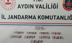 Aydın'da jandarma 23 kişiyi yakaladı