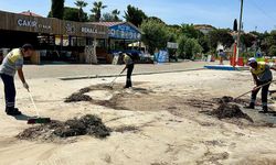 Mavişehir Sahilinde temizlik çalışması yapıldı